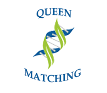 quieen
