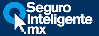 seguroInt